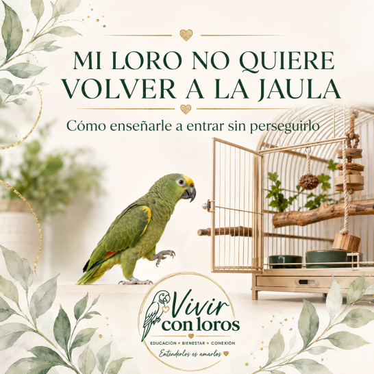 Mi loro no quiere volver a la jaula