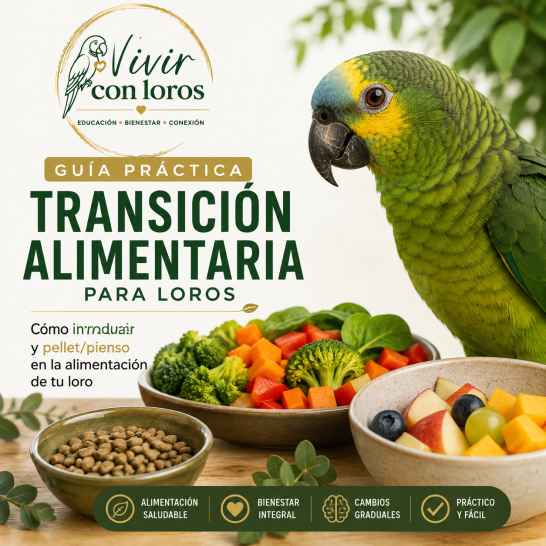 Guía de transición alimentaria Guía de transición alimentaria