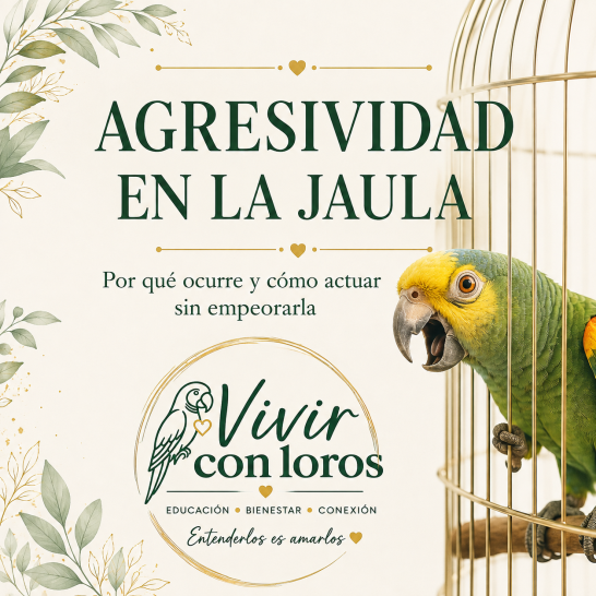 Agresividad en la jaula