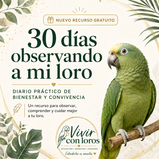Diario práctico de bienestar y convivencia